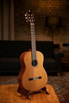 Classical guitar Ortega R159 4/4 - 17