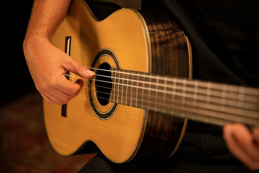Klassieke gitaar Ortega R159 4/4 - 23