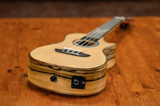 Koncertní ukulele Ortega EAGLESUITE-U Koncertní ukulele - 20
