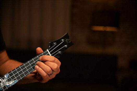 Koncertné ukulele Ortega EAGLESUITE-U Koncertné ukulele - 24