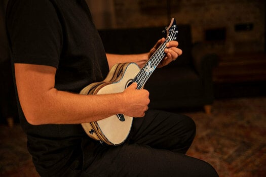 Koncertní ukulele Ortega EAGLESUITE-U Koncertní ukulele - 25