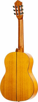 Klassieke gitaar Ortega R170F 4/4 - 5