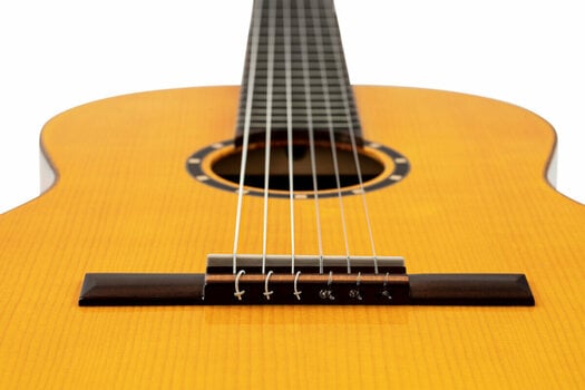 Guitare classique Ortega R170F 4/4 - 13