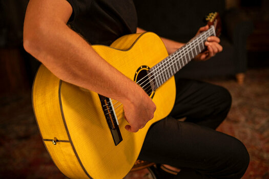 Klassieke gitaar Ortega R170F 4/4 - 26