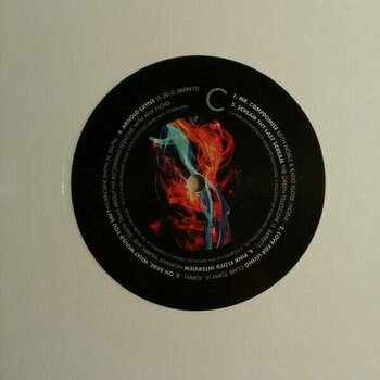 LP deska Various Artists - Many Faces Of Pink Floyd (White Coloured) (2 LP) - 4