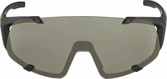 Sportbrillen Alpina Hawkeye Q-Lite Black Matt/Silver - 2