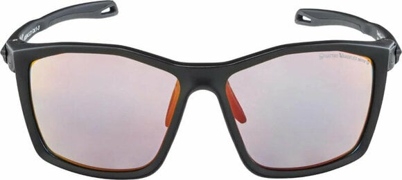 Sport Glasses Alpina Twist Five QV Black Matt/Rainbow - 2