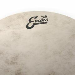 Drum Head Evans TT16C7 Calftone 16" Drum Head - 2