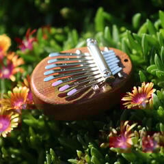 Kalimba Veles-X Wooden Mini Natural Kalimba - 2