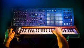 Syntetizátor Arturia MatrixBrute Syntetizátor Wooden Black - 2