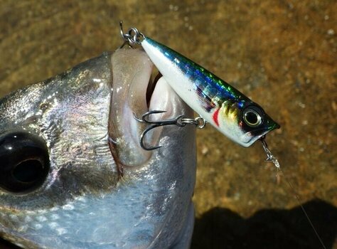 Fishing Wobbler Savage Gear 3D Minnow Popper Ghost Sardine 4,3 cm 2,6 g - 3