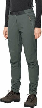Spodnie outdoorowe Jack Wolfskin Ziegspitz Pants W Slate Green M Spodnie outdoorowe - 2