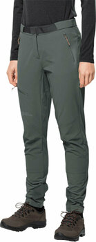 Outdoor Pants Jack Wolfskin Ziegspitz Pants W Slate Green M/L Outdoor Pants - 2