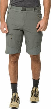 Pantalones cortos para exteriores Jack Wolfskin Ziegspitz Shorts M Gecko Green L Pantalones cortos para exteriores - 2