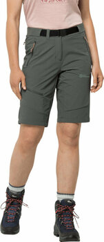 Shorts til udendørs brug Jack Wolfskin Ziegspitz Shorts W Slate Green S Shorts til udendørs brug - 2