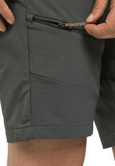 Pantaloncini outdoor Jack Wolfskin Ziegspitz Shorts W Slate Green S-M Pantaloncini - 4