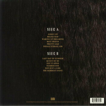 Vinyl Record Shania Twain - Queen Of Me (LP) - 2