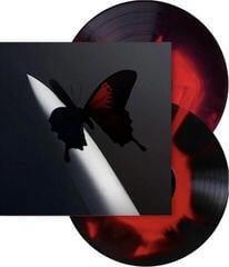 LP deska Post Malone - Twelve Carat Toothache (2 LP) - 1