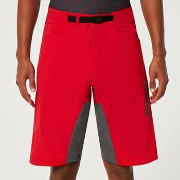 Fietsbroeken en -shorts Oakley Seeker '75 Short Red Line 31T Fietsbroeken en -shorts - 4