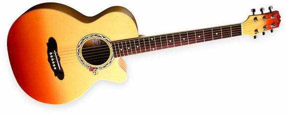 SET de guitarra acústica Gypsy Rose GRA1K-CMB - 2