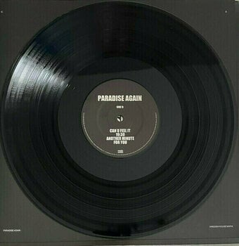 Vinyl Record Swedish House Mafia - Paradise Again (2 LP) - 5