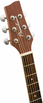 Akoestische gitaar Pasadena AGC1-SB - 2