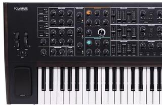 Syntetizátor Arturia PolyBrute Noir Syntetizátor - 1