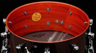 Kleine Trommel Tama CBC146MF-GNC Starphonic 14" Gloss Natural Cordia Kleine Trommel - 5
