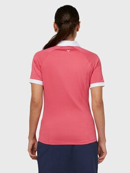 Camisa pólo Callaway Womens Short Sleeve V-Placket Colourblock Polo Fruit Dove S - 6