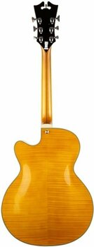 Semi-Acoustic Guitar D'Angelico EX-175 Natural - Tint - 2