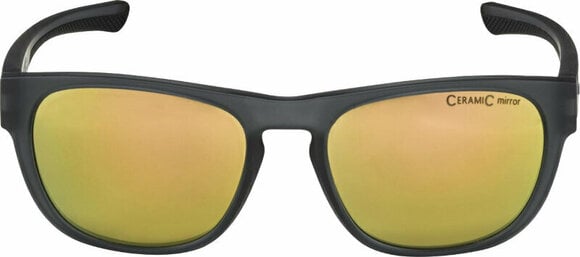 Lifestyle okulary Alpina Lino II Grey/Transparent/Gold Lifestyle okulary - 3