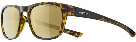 Livsstil briller Alpina Lino II Havanna/Gold Livsstil briller - 2