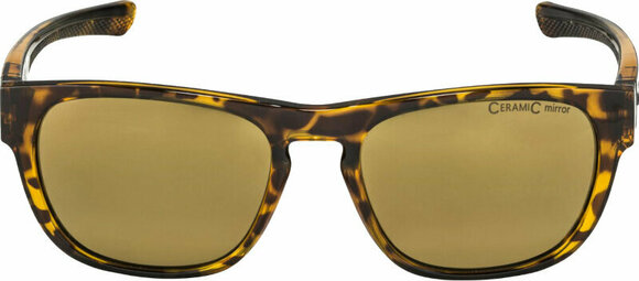 Lifestyle cлънчеви очила Alpina Lino II Havanna/Gold Lifestyle cлънчеви очила - 3