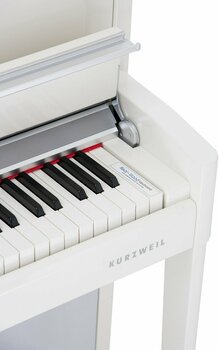 Piano numérique Kurzweil Andante CUP2A Ivory Polish - 4