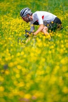 Cycling jersey Castelli Prologo 7 Jersey Ivory/Light Black-Red 3XL - 8