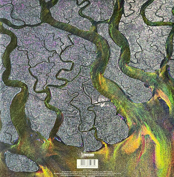 Vinyl Record alt-J - An Awesome Wave (Fern Green Coloured) (LP) - 4