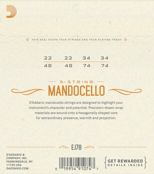 Mandoline Strings D'Addario EJ78 - 2