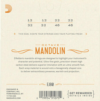 Mandoline Strings D'Addario EJ80 - 2