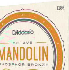 Cordes de mandolines D'Addario EJ80 Cordes de mandolines - 2