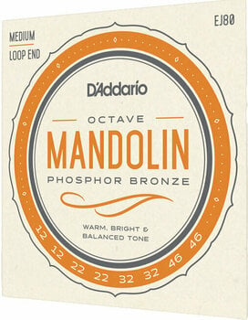 Mandoline Strings D'Addario EJ80 - 4