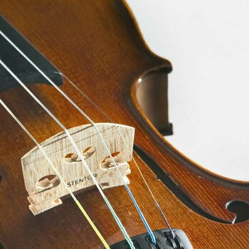 Violin Stentor Student II 1/2 - 3
