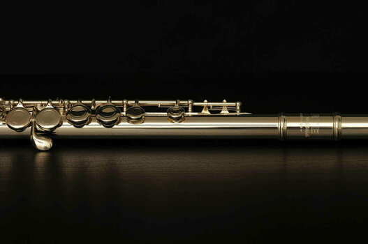 Concert flute Artemieva AFL 111 - 2