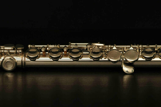Koncertná priečna flauta Artemieva AFL 111 - 3