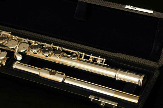 Concert flute Artemieva AFL 111 - 8