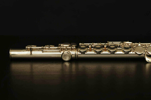 Koncertna flauta Artemieva AFL 111 - 11