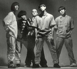 LP platňa Inspiral Carpets - The Complete Singles (Black Vinyl) (2 LP) - 2