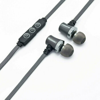 In-Ear Headphones Brainwavz S1 Noise Isolating In-Ear Earphones with Mic/Remote Grey - 4