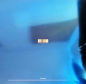Disc de vinil Joda - Joda (2 LP) - 3