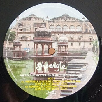 Vinyl Record Shpongle - Ineffable Mysteries From Shpongleland (3 LP) - 6