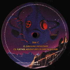 Vinyl Record Shpongle - Museum Of Consciousness (2 LP) - 4